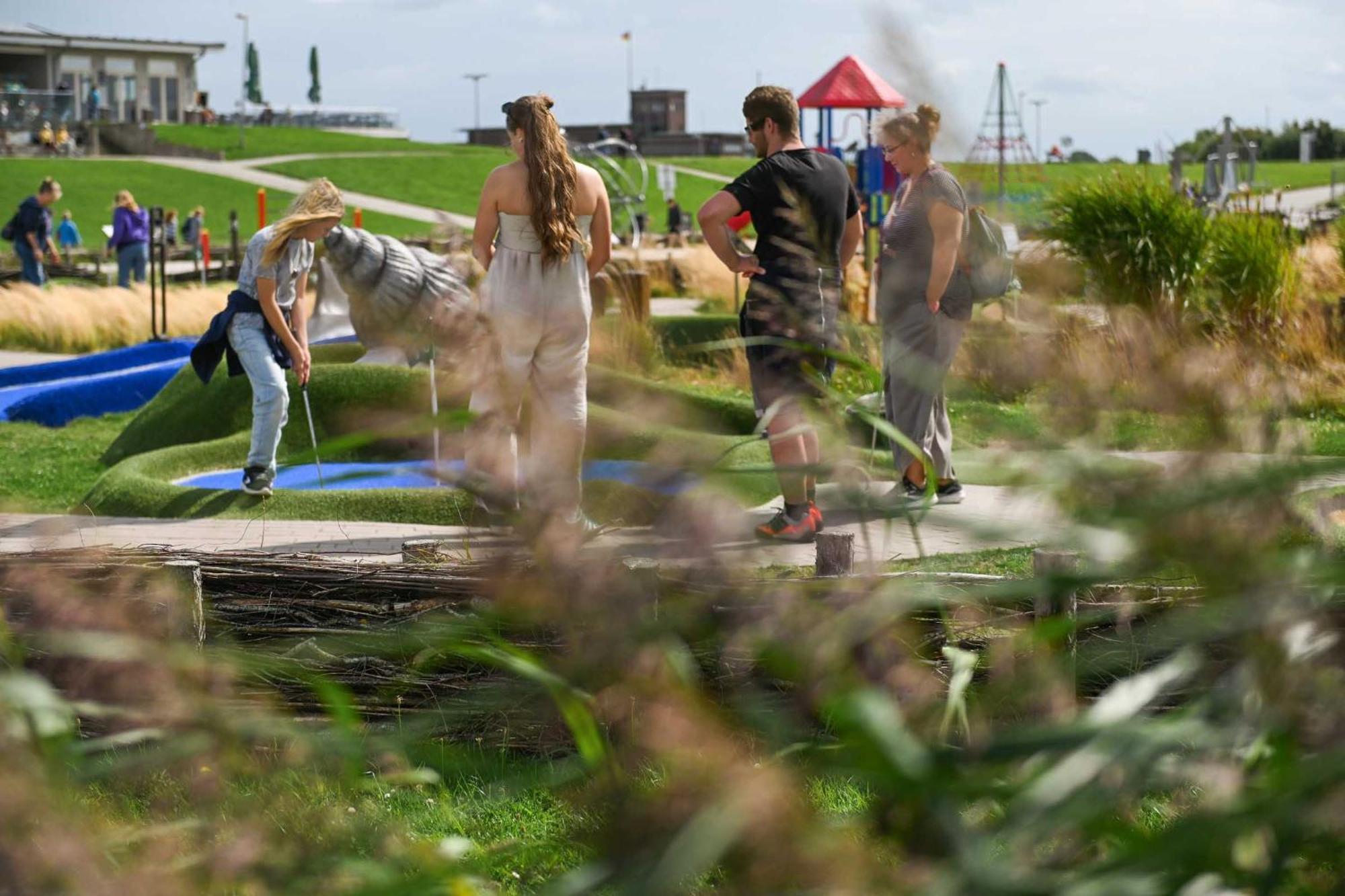 Tiny House Pioneer 18 Zur Meerseite - Green Tiny Village Harlesiel Carolinensiel Zewnętrze zdjęcie
